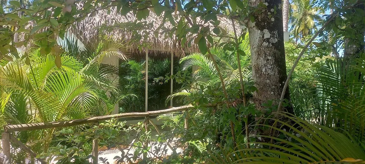 Zodiaco In Las Terrenas